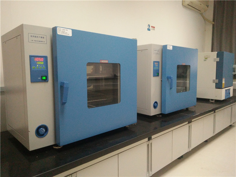 电热鼓风干燥箱