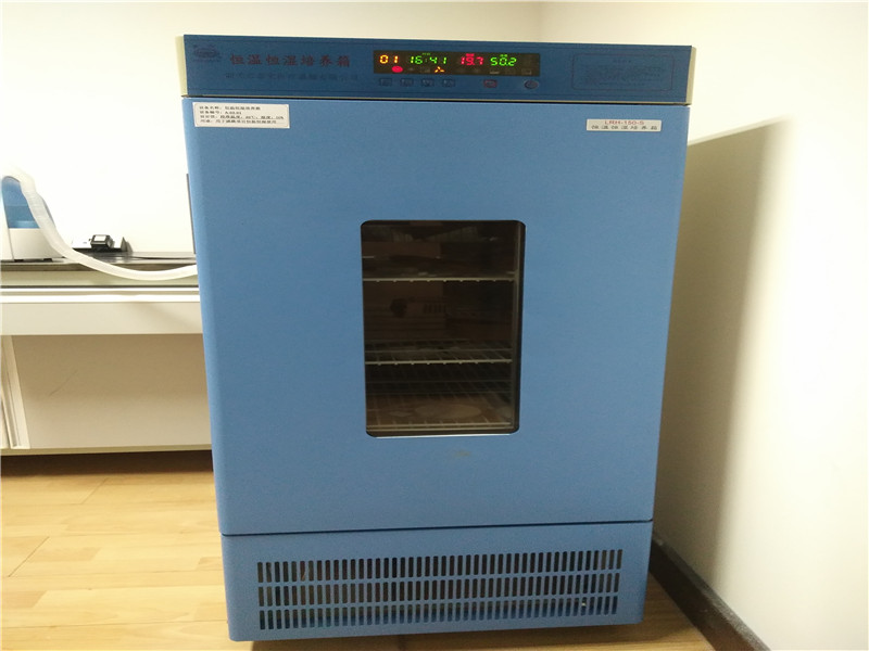 恒温恒湿培养箱